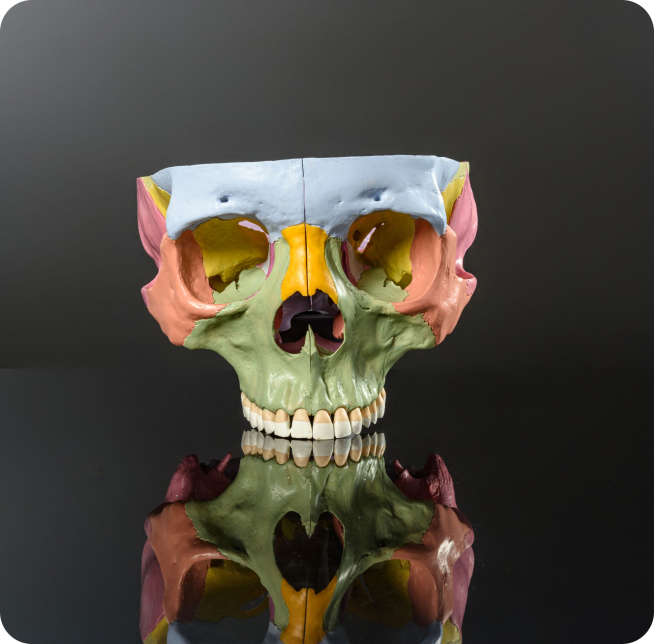 model-7-1